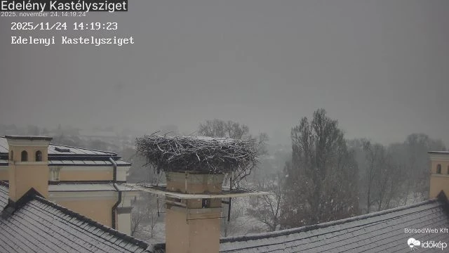 Behavazódott az edelényi gólyafészek (2025.11.24.)