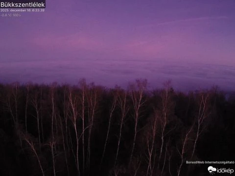 Bükkszentlélek (szentlelek) gyorsított felvétele