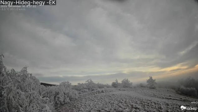 Felemelő érzés a napsütés