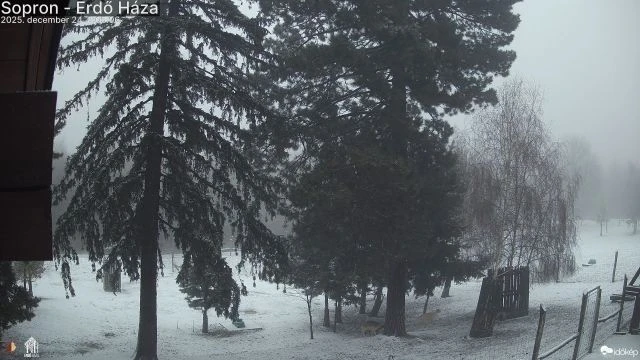 Őzikenyomok a hóban