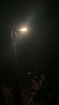 2C91DC86-73EC-4FFF-BC3F-28312A75995B.mp4