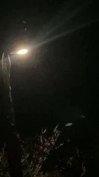 DE3F2488-5F47-49AF-8657-0E98C0A0DCF3.mp4