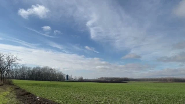 B0652A85-5EC5-4063-8DC6-86B74B6F1C50.mp4