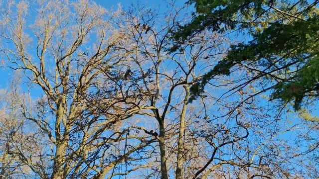 Karácsonyi ricsaj! :)