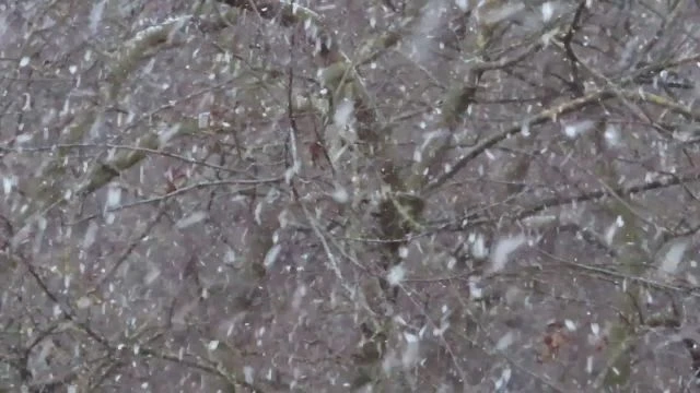 Rövid ideig tartó hózápor Szombathelyen