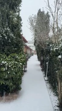 8F9A0CAA-0557-4B6A-9EEE-E6D3655E0775.mp4