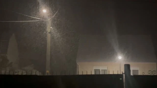 EBA920BB-7E31-4198-974F-7DC2129C692D.mp4