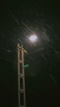 C3CE17E4-8311-4BB0-B88D-68E794380204.mp4