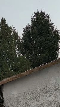 Újév első napján nagy pelyhekben hull a hó