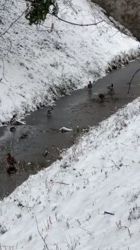 5D4F6564-D975-4376-8DA5-B78D2F19BF37.mp4