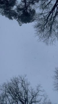 Csodálatos hóesés