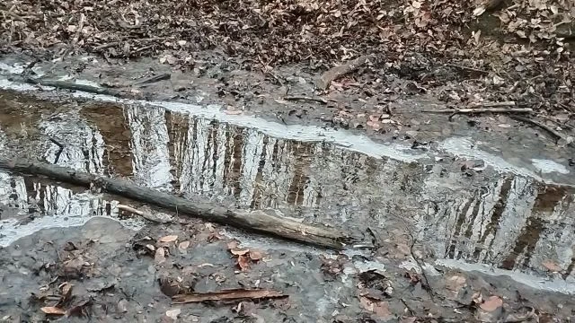 VID20260102145303.mp4