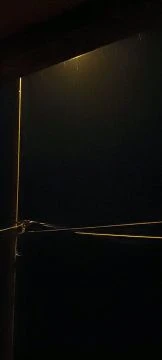 d591b927-5eba-4907-afca-51895672919f-1_all_17963.mp4