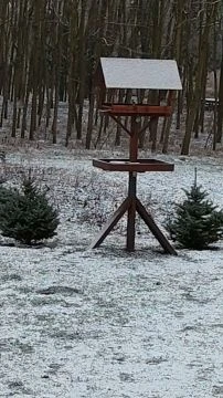 A madarak karácsonya