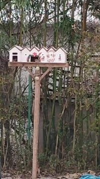 Madarak karácsonya2