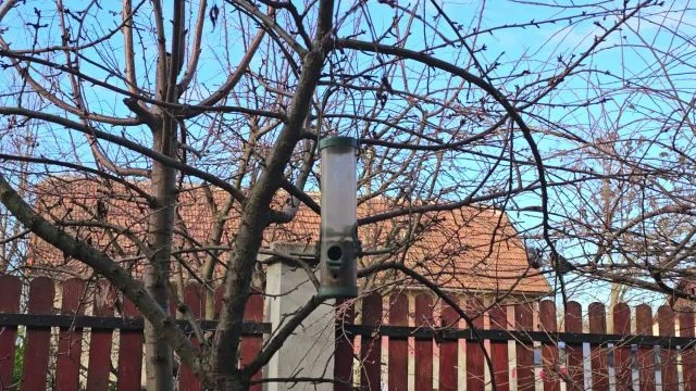 A világ legpörgősebb McDrive-ja: rendelés, átvétel és távozás 0,5 másodperc alatt.