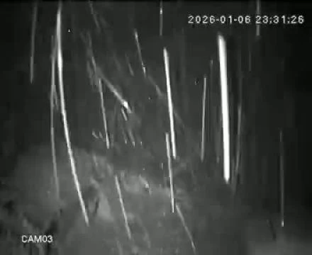 9830D0F0-CD96-4FDE-8A6F-5FD92D2BE824.mp4