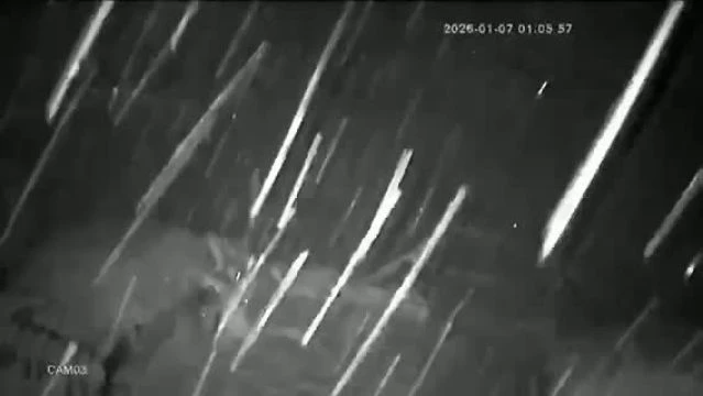 F6BDBA2C-0B9F-4B97-93D3-43E47AFB010E.mp4