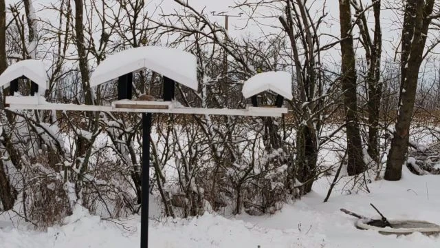 HnVideoEditor20260107105144277.mp4