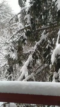 Hóval borított reggel