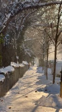 A természet csillámpora