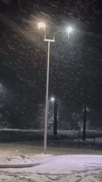 0DB664F4-CFF0-4F49-8556-1DFDF1C7DD89.mp4