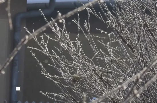 Csillámpor hullás Tiszalökön