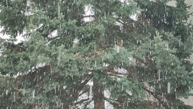 Szombathelyen havazik 01.09.