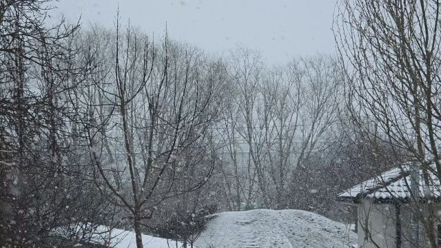 Sűrűn hull a hó Mosonszolnokon