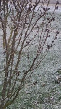 31d62bd1-3f8a-4030-8ccd-eac7f462a9d7-1_all_1780.mp4