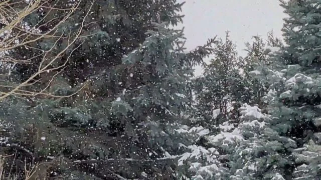 Polgárdi, intenzív havazás