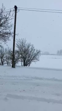 501EADDC-C640-4283-9AC6-C47A7E943E57.mp4