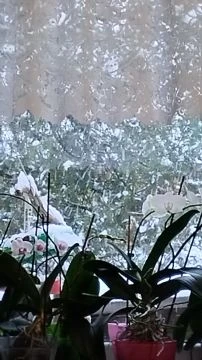 498cf239-0481-4b3f-841c-3f34e51758f4-1_all_10855.mp4