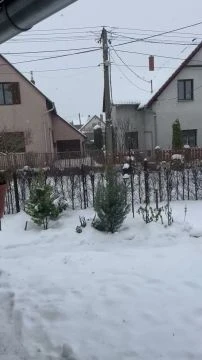 17889B93-7EFA-4B76-A0DC-08A5B5201D04.mp4