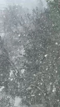 6AFDF458-C953-483E-ADDD-DB6D372FFDC8.mp4