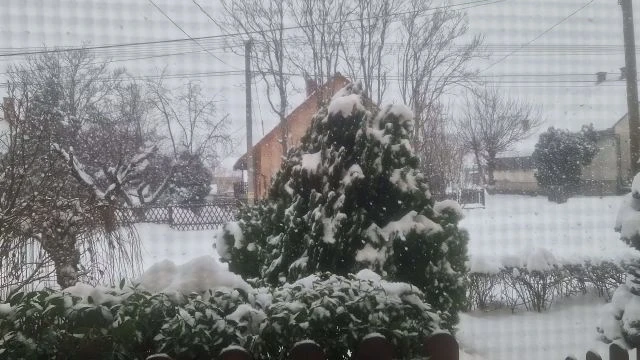 Nagypelyhes Hóesés