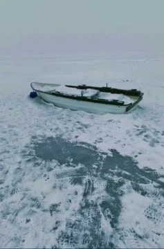 VID202601100803181392.mp4