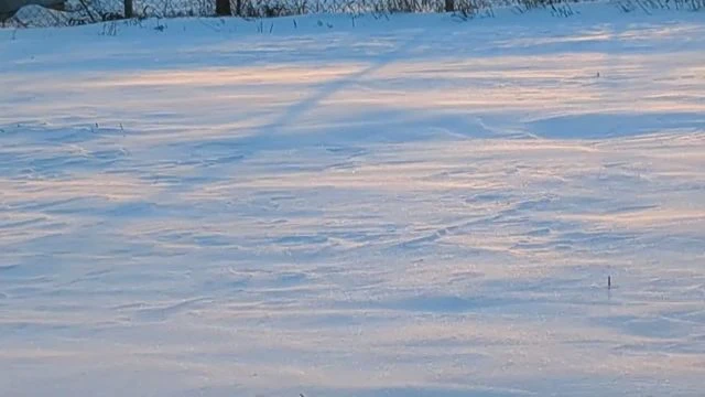 Polgárdi, hófúvás, viharos szél