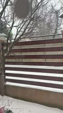 7102E176-5AB1-4178-A219-8357A25480B0.mp4