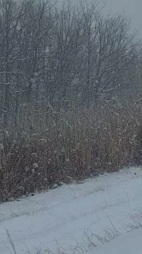 Sűrű havazás Kaba határában