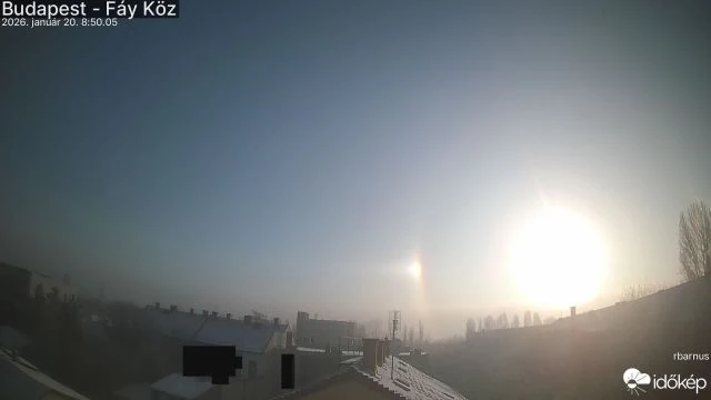 Gyémántpor haló Újpesten