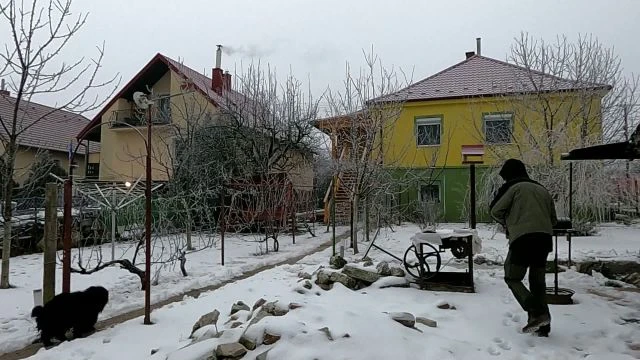 Egy bögre forró víz