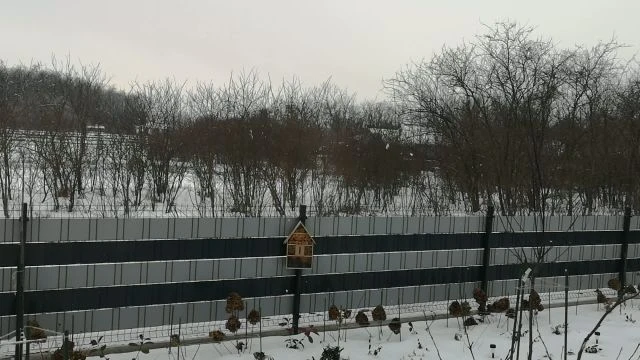 VID_20260123_084915.mp4