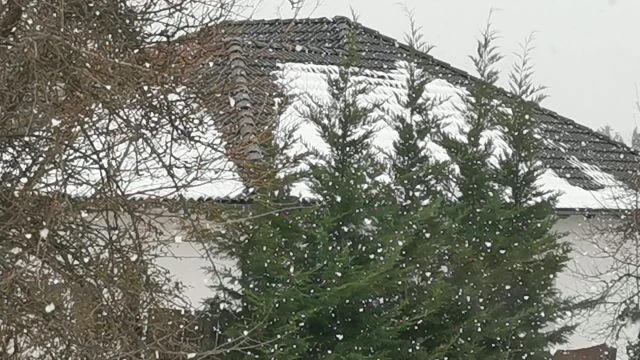 VID_20260123_135217~2.mp4