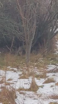 PXL202601251122259282.mp4