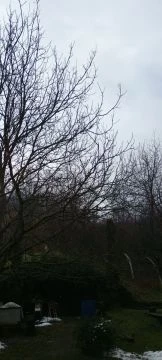 kicsit ér kicsit ér!