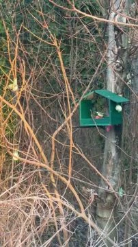 5BE96184-80B2-4925-A2DA-892ABB28D0FC.mp4