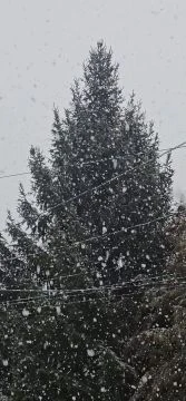 Nagypelyhes havazás Salgótarjánban (Videó: agi29)