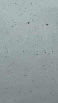 252057CE-23E7-4B8B-9559-3A9F700E48DE.mp4