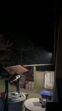 4FC9B003-E8C6-4C36-8051-5035DAB54FC7.mp4